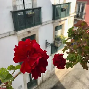  Appartement In The Heart Of